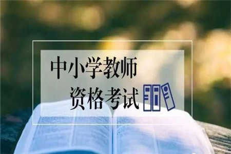 重庆中小学教师资格证报名面试待审核是什么意思?