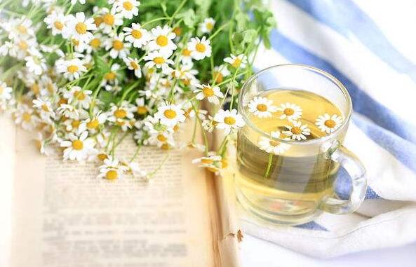 重庆小学教师资格笔试《综合素质》必背知识点:教师职业道德规范